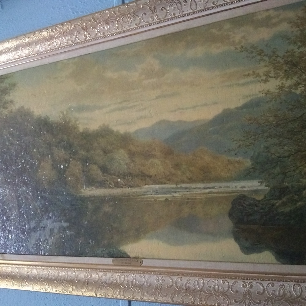 T.banks in the highlands